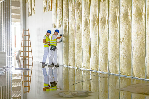 Best Commercial Insulation in Castle Point, MO